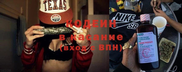 шишки Аркадак