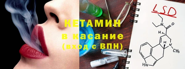 шишки Аркадак