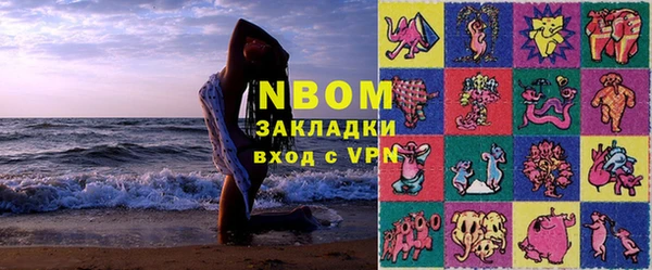 шишки Аркадак