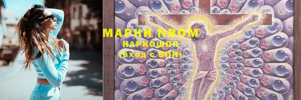 шишки Аркадак