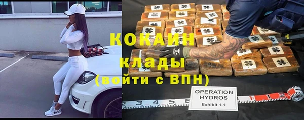 шишки Аркадак