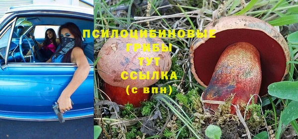 шишки Аркадак