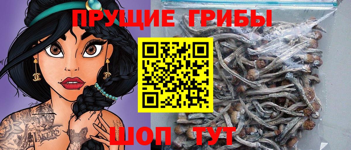 Галлюциногенные грибы Magic Shrooms Балабаново